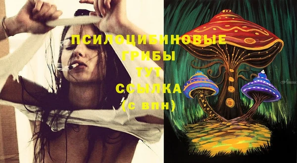 бошки Гусев